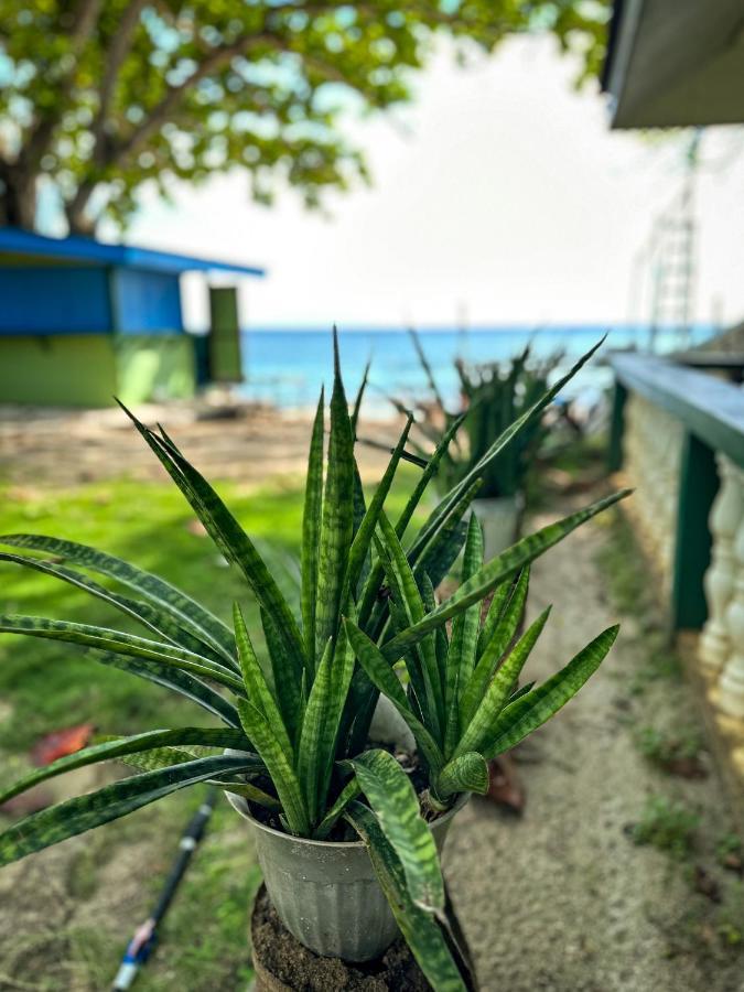1Peace Beach Resort Anda  Exterior foto